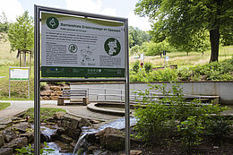 Barrierefreie Wassertretanlage am Gaensbrunnen in Mespelbrunn