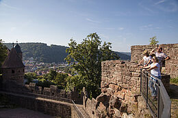 Aussicht von der Burg Wertheim